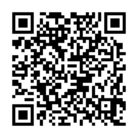 QR code for NXP383