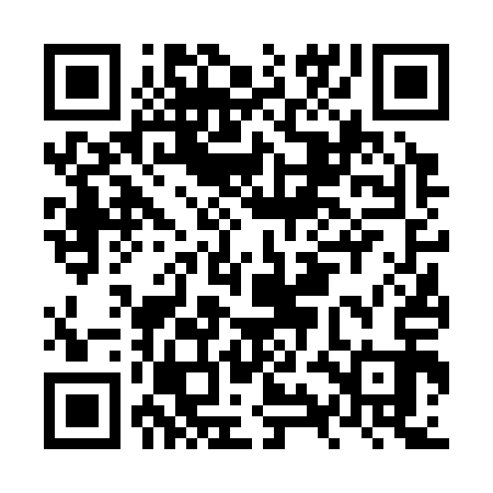 QR code for NYF313