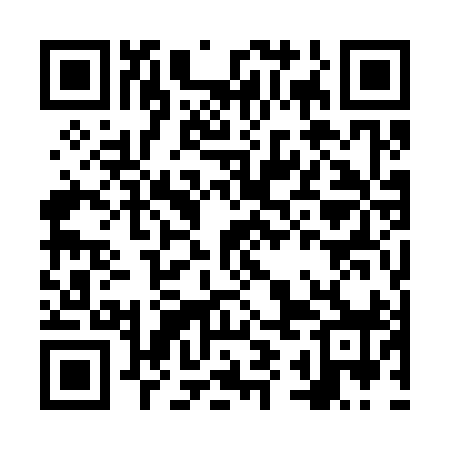 QR code for NYO398