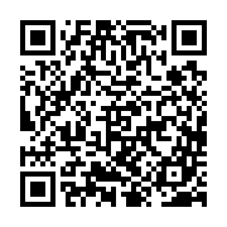 QR code for NYP747