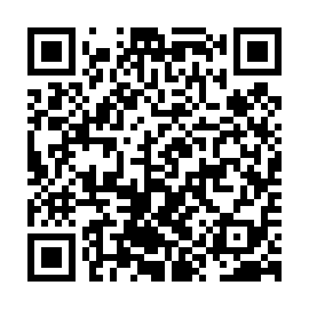 QR code for NYS419