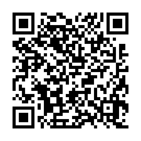 QR code for NYS636
