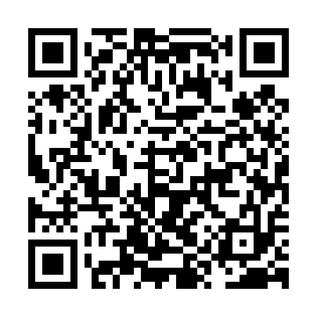 QR code for NYU413