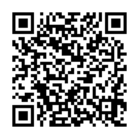 QR code for NYZ955