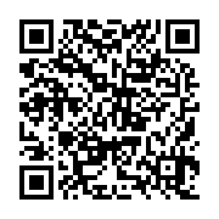 QR code for NZI934