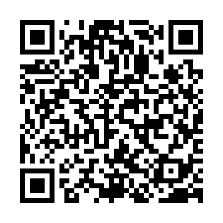 QR code for ODS339