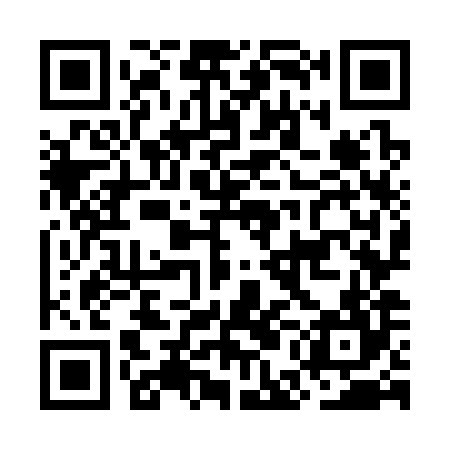 QR code for OEO384