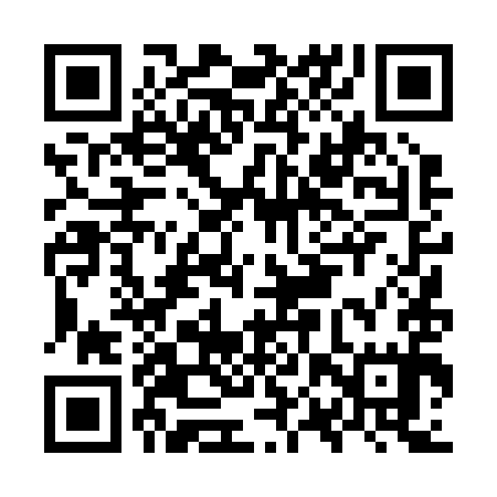 QR code for OPT295