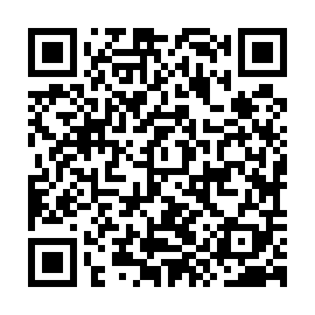 QR code for OYZ509