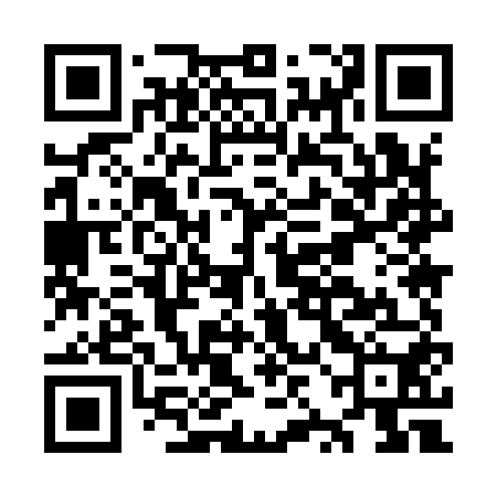 QR code for OZM950