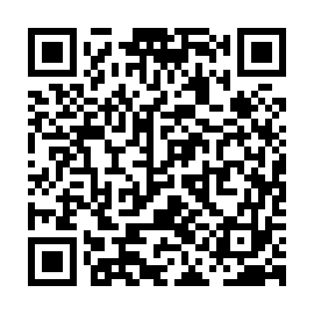 QR code for PAA873