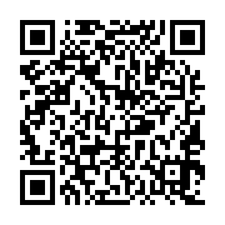 QR code for PAE155