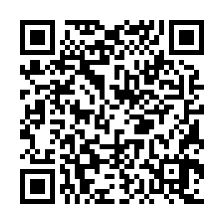 QR code for PAE867