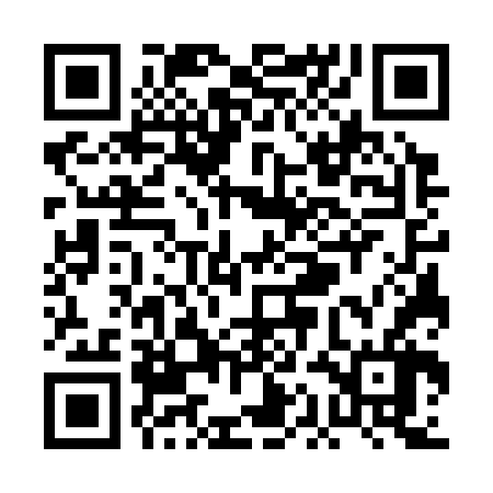 QR code for PAG366