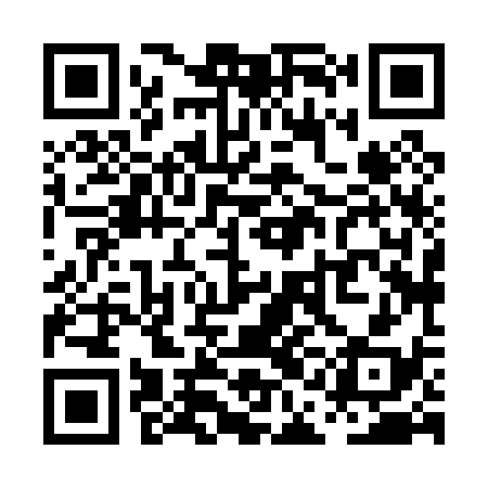 QR code for PAH038