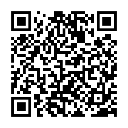 QR code for PAN533