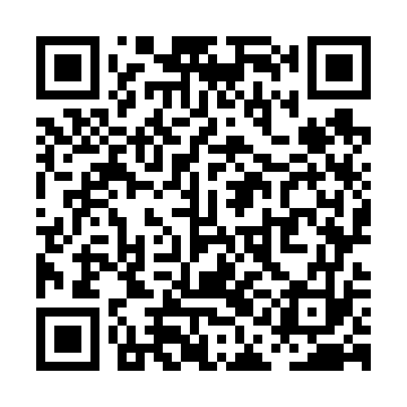 QR code for PAO673