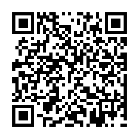 QR code for PAS295