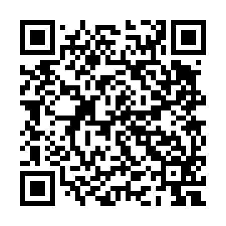 QR code for PAS496