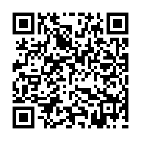 QR code for PAU379