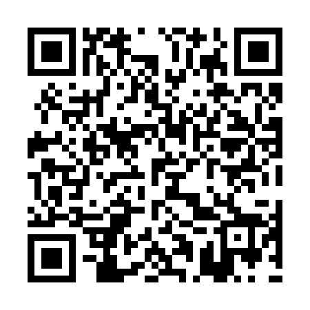 QR code for PAX228