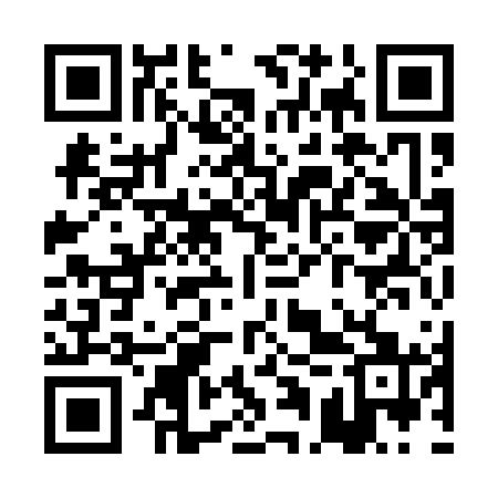 QR code for PAY161