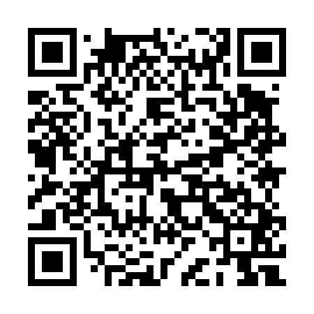 QR code for PBI441