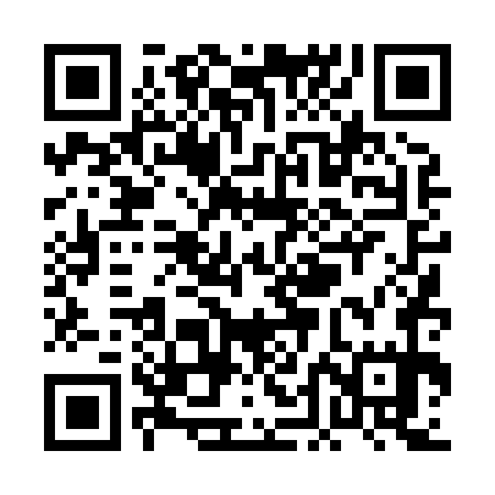 QR code for PDD875