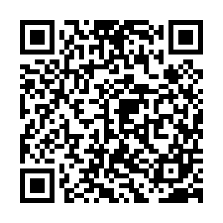 QR code for PDI007