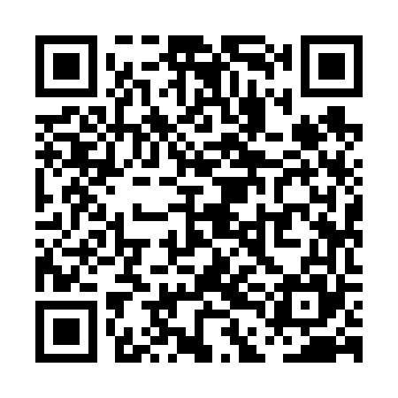 QR code for PDI665