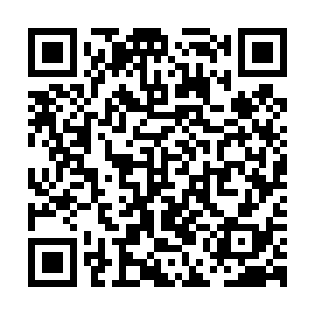 QR code for PEG438