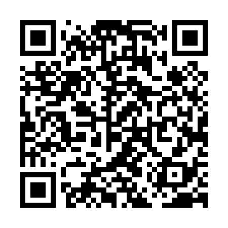 QR code for PET038