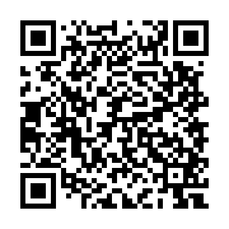 QR code for PFN541