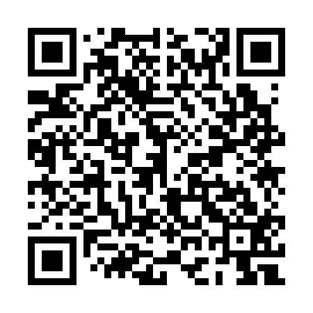 QR code for PGK313