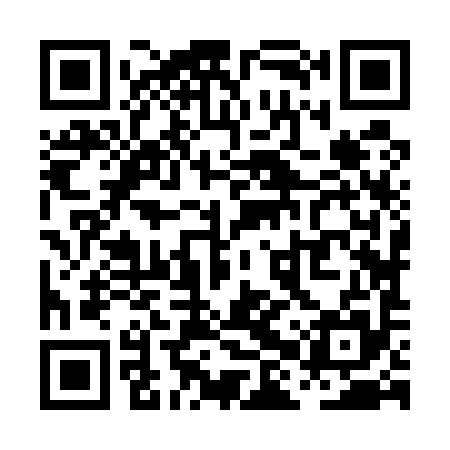 QR code for PHZ595