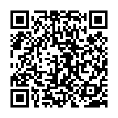 QR code for PIE419