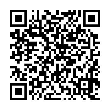 QR code for PIN374