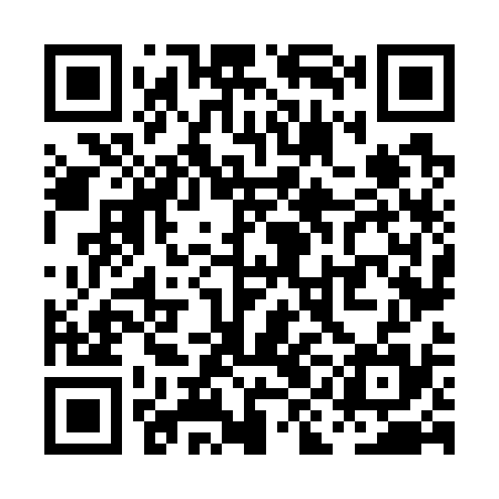 QR code for PIN735