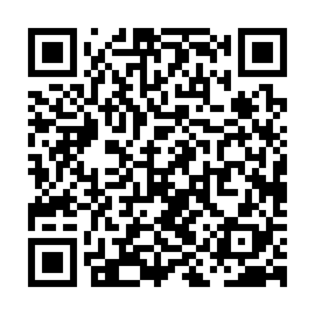 QR code for PIP328