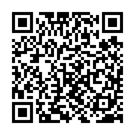 QR code for PIR651