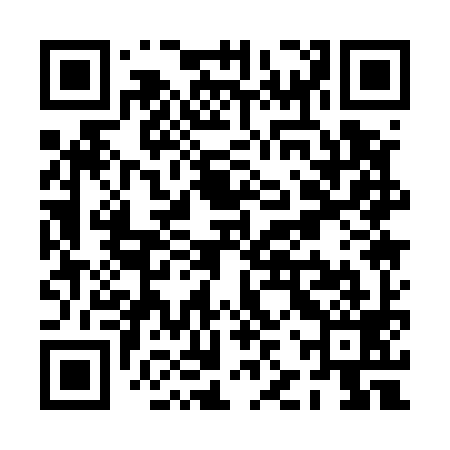 QR code for PJQ599