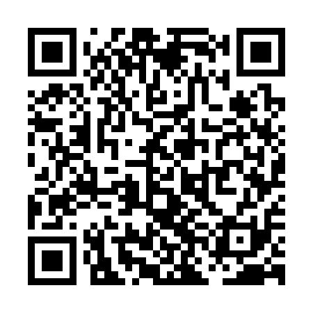 QR code for PNG311