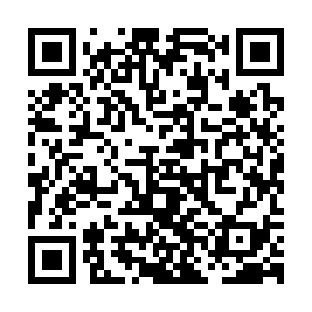 QR code for PNI339