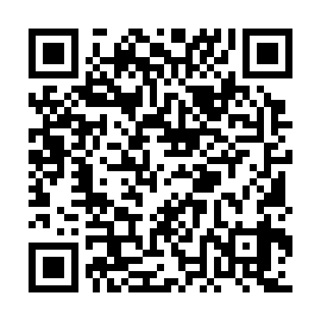 QR code for PNM339