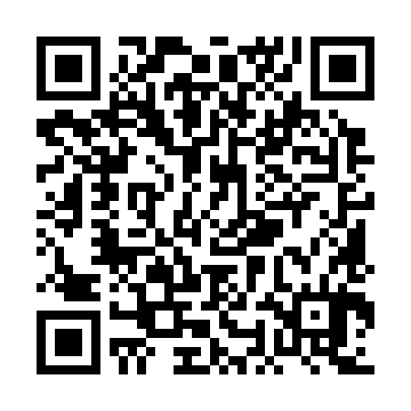 QR code for POM384
