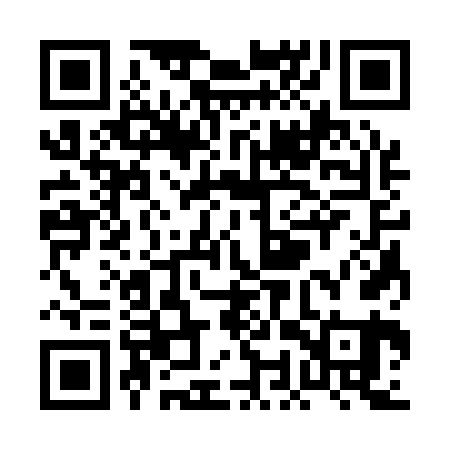 QR code for POS161