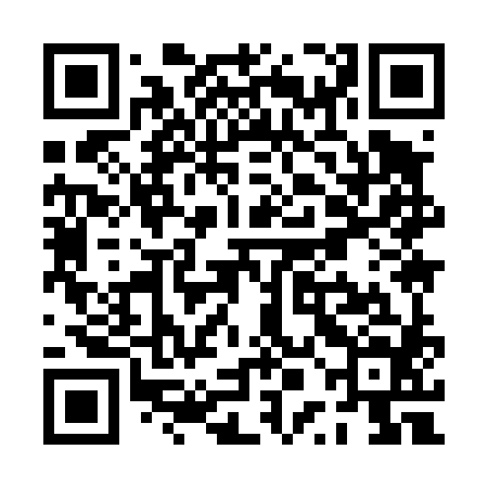 QR code for PPI484