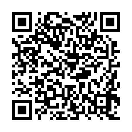 QR code for PPP298