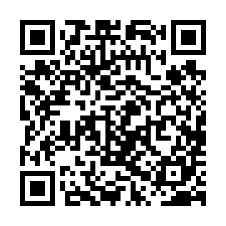 QR code for PPP685