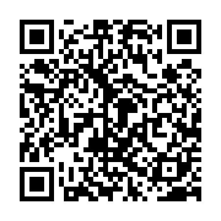 QR code for PPT501